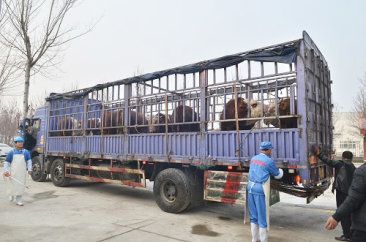 凯发k8天生赢家·一触即发,k8凯发(中国)天生赢家一触即发,k8凯发官网(中国)食品 凯发k8天生赢家·一触即发,k8凯发(中国)天生赢家一触即发,k8凯发官网(中国)食品