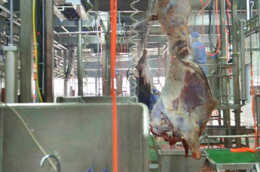 凯发k8天生赢家·一触即发,k8凯发(中国)天生赢家一触即发,k8凯发官网(中国)食品 凯发k8天生赢家·一触即发,k8凯发(中国)天生赢家一触即发,k8凯发官网(中国)食品